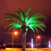 Zdjęcie z Gruzji - Batumi by night.