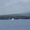Zdjęcie z Indonezji - Klify wyspy Lembongan