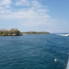 Zdjęcie z Indonezji - Brzegi Nusa Lembongan