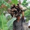Zdjęcie z Indonezji - Na bali wszystko