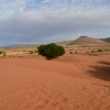 Zdjęcie z Maroka - MAŁA SAHARA