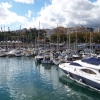 Zdjęcie z Portugalii - Funchal