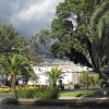 Zdjęcie z Portugalii - Funchal