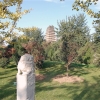 Zdjęcie z Chińskiej Republiki Ludowej - Pagoda Dzikiej Gęsi