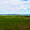Zdjęcie z Australii - Polwysep Fleurieu