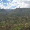 Zdjęcie z Peru - Kanion Colca