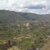 Zdjęcie z Peru - Kanion Colca