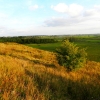 Zdjęcie z Polski - Rezerwat przyrody