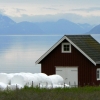 Zdjęcie z Norwegii - wyjazd z Sortland