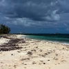 Zdjęcie z Brytyjskich Wysp Dziewiczych - GRAND TURK, Turks & Caico