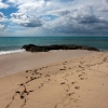 Zdjęcie z Brytyjskich Wysp Dziewiczych - GRAND TURK, Turks & Caico