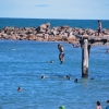 Zdjęcie z Australii - Molo w Port Elliot