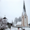 Tropolach