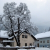 Zdjęcie z Austrii - Tropolach