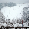 Zdjęcie z Austrii - Tropolach