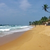 Zdjęcie ze Sri Lanki - 