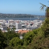 Zdjęcie z Nowej Zelandii - DUNEDIN