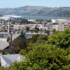 Zdjęcie z Nowej Zelandii - DUNEDIN