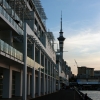 Zdjęcie z Nowej Zelandii - AUCKLAND