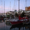 Zdjęcie z Nowej Zelandii - AUCKLAND