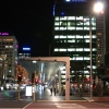 Zdjęcie z Nowej Zelandii - AUCKLAND