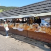Zdjęcie z Polski - 