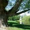 Zdjęcie z Polski - park w Dobrzycy