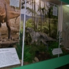 Zdjęcie z Polski - Muzeum Przyrodnicze