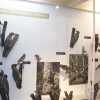 Zdjęcie z Polski - Muzeum Przyrodnicze