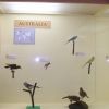 Zdjęcie z Polski - Muzeum Przyrodnicze