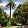 Zdjęcie z Nowej Zelandii - WELLINGTON