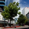 Zdjęcie z Nowej Zelandii - WELLINGTON