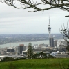 Zdjęcie z Nowej Zelandii - Auckland 