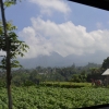 Zdjęcie z Indonezji - 
