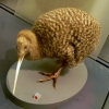 Zdjęcie z Nowej Zelandii - Auckland Museum