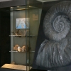 Zdjęcie z Nowej Zelandii - Auckland Museum