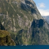 Zdjęcie z Nowej Zelandii - MILFORD SOUND
