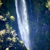 Zdjęcie z Nowej Zelandii - MILFORD SOUND