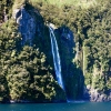 Zdjęcie z Nowej Zelandii - MILFORD SOUND