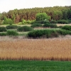 Zdjęcie z Polski - Czermno - krajobraz.