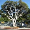 Zdjęcie ze Stanów Zjednoczonych - Los Angeles