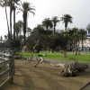 Zdjęcie ze Stanów Zjednoczonych - Santa Monica