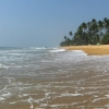 Zdjęcie ze Sri Lanki - 