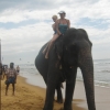 Zdjęcie ze Sri Lanki - plaża,słonica Monika i my