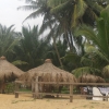 Zdjęcie ze Sri Lanki - 