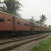Zdjęcie ze Sri Lanki - 