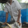 Zdjęcie ze Sri Lanki - 