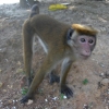 Zdjęcie ze Sri Lanki - 
